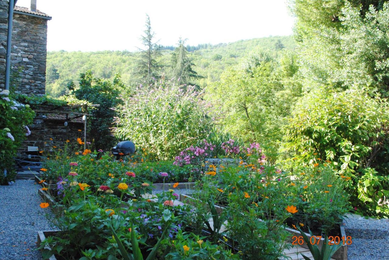 Alberguiere - Piscine chauffée - plancha - barbecue Sainte-Croix-Vallee-Francaise Exterior foto